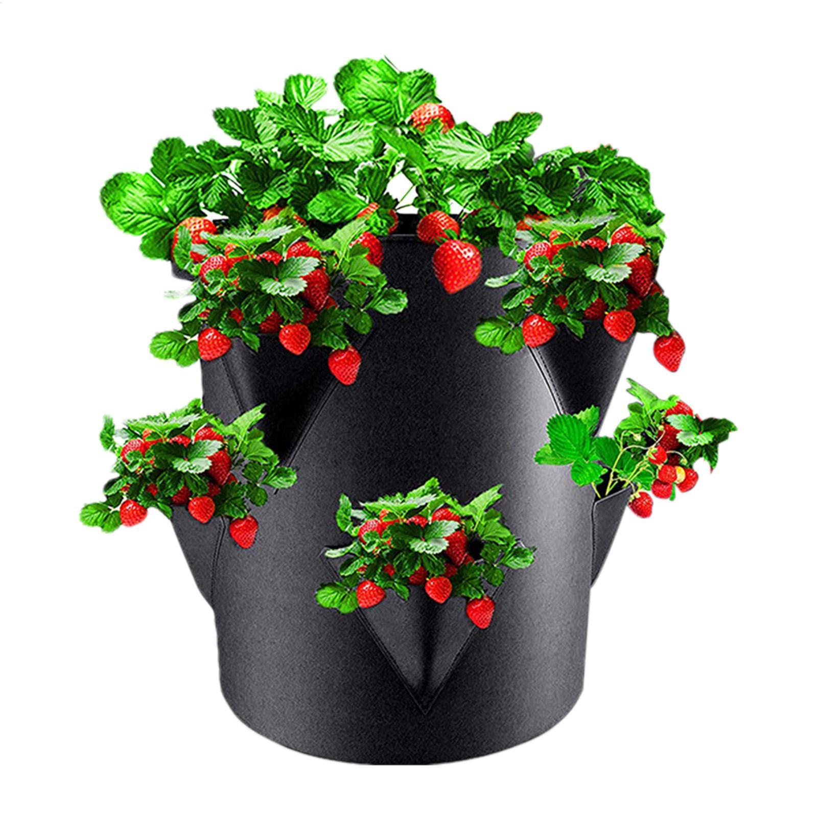 Vertical Planter Tower - 7갤런 딸기 재배 가방 토마토 재배