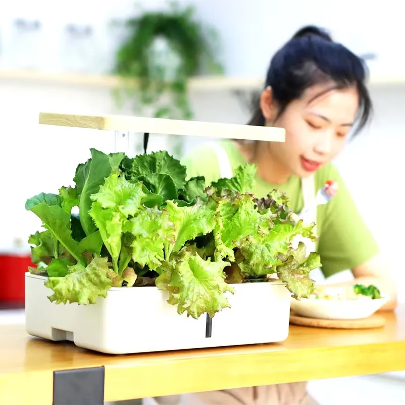 Smart Garden Offices - 스마트 수경재배 실내 정원 키트 -