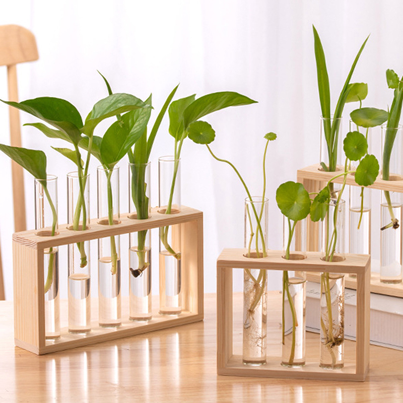 Hydroponic Grow Pod - 나무 프레임과 수경 식물 컨테이너 투명