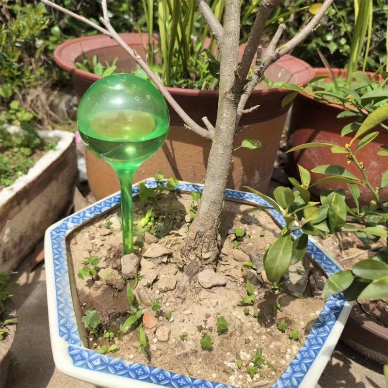 6개 실내 식물 자동 급수 볼 자동화 식물 꽃 물 공병 - Smart Garden Technology 리뷰 및 가격
