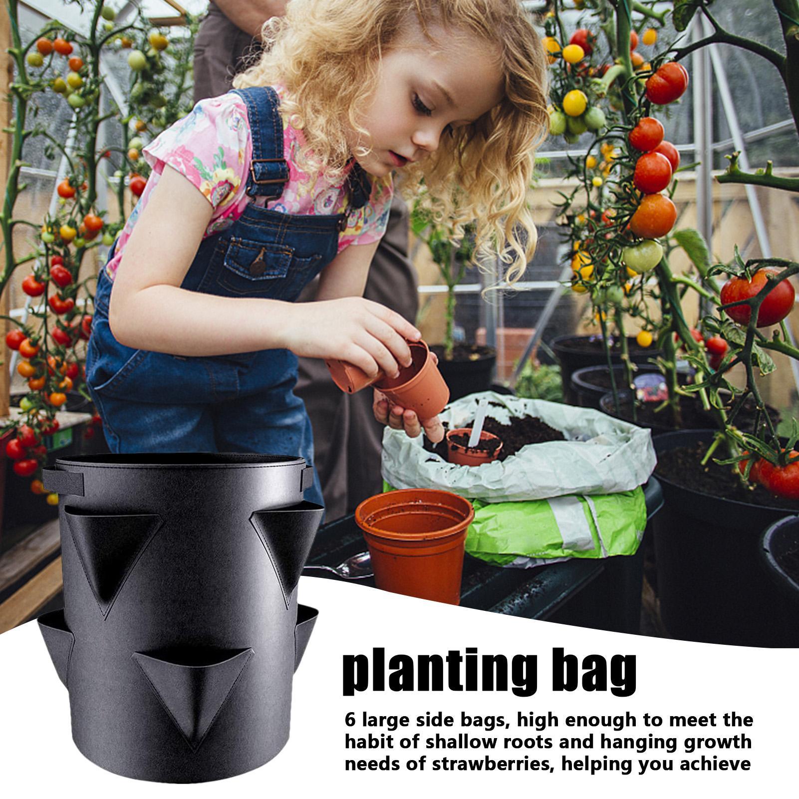7갤런 딸기 재배 가방 토마토 재배 가방 수직 정원 딸 - Vertical Planter Tower 리뷰 및 가격