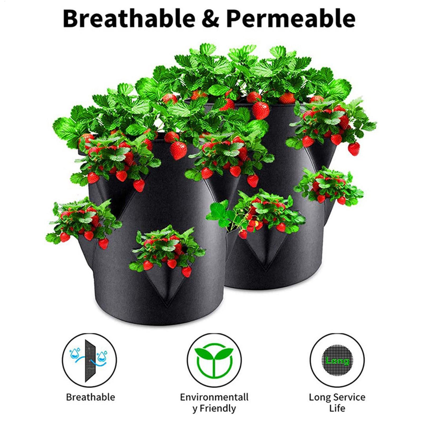 7갤런 딸기 재배 가방 토마토 재배 가방 수직 정원 딸 - Vertical Planter Tower 리뷰 및 가격