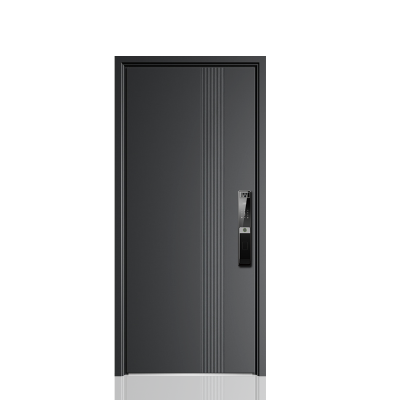 공장 직영 2026 맞춤형 사이즈 출입구 보안문 가정용 - Smart Garden Lock 리뷰 및 가격