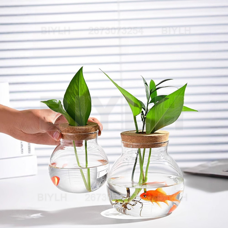 코르크 뚜껑이 있는 수경 식물 유리 화병 홈 데코 투명 - Hydroponic Grow Pod 리뷰 및 가격