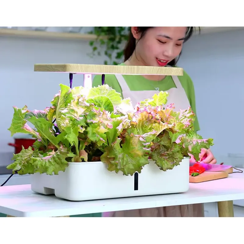 스마트 수경재배 실내 정원 키트 - LED 재배등, 자 - Smart Garden Offices 리뷰 및 가격