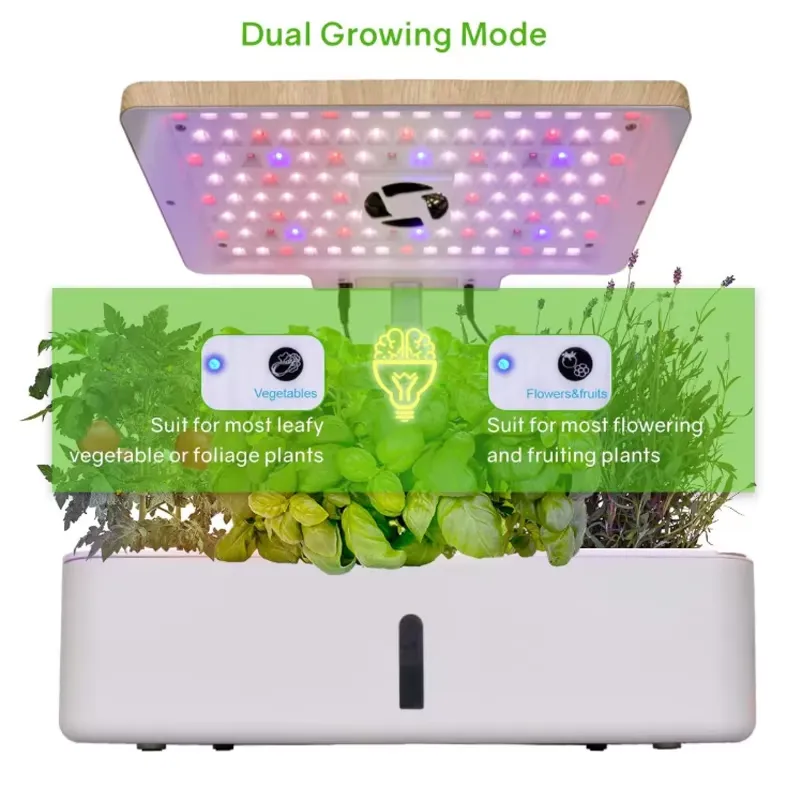 스마트 수경재배 실내 정원 키트 - LED 재배등, 자 - Smart Garden Offices 리뷰 및 가격