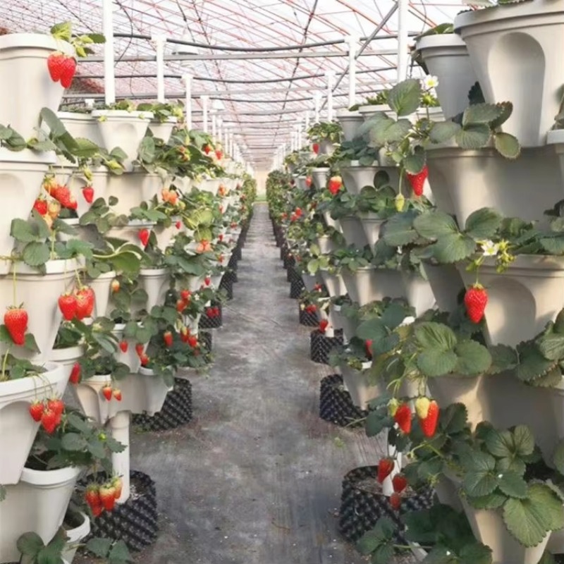 자가 급수 기능이 있는 PP&UV 테라코타 색상 정원  - Vertical Planter Tower 리뷰 및 가격