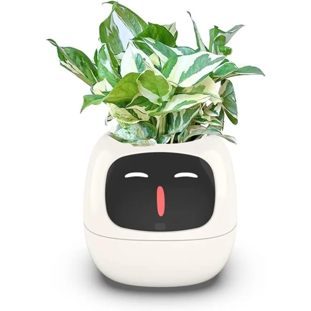 AI 칩 7개 센서가 탑재된 스마트 화분, 가정, 책상 - Smart Garden Offices 리뷰 및 가격